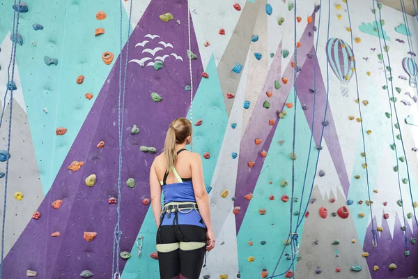 Duvara Tırmanan Eğitime Hazırlanırken Resimlere Bakan Genç Bir Kadın Tırmanıcının — Stok fotoğraf