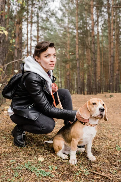 Bella Giovane Donna Bruna Coccole Carino Cucciolo Beagle Mentre Seduto — Foto Stock