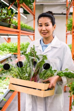 Beyaz yüzgeçli mutlu Asyalı genç sera işçisi koridorda yürürken tahta kutuda organik yiyecekler taşıyor.