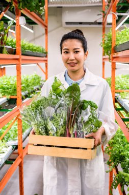 Mutlu genç Asyalı tarım uzmanı koridor boyunca yürürken taze organik yiyecekleri tahta kutuda taşıyor.
