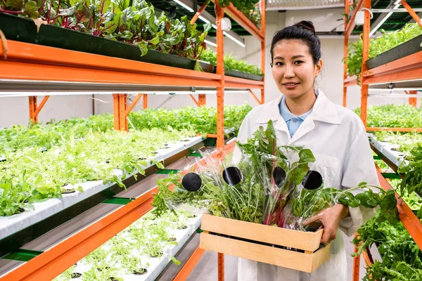 Junge Asiatische Gewächshausmitarbeiterin Trägt Holzkiste Mit Verpackten Frischen Grünen Blättern — Stockfoto