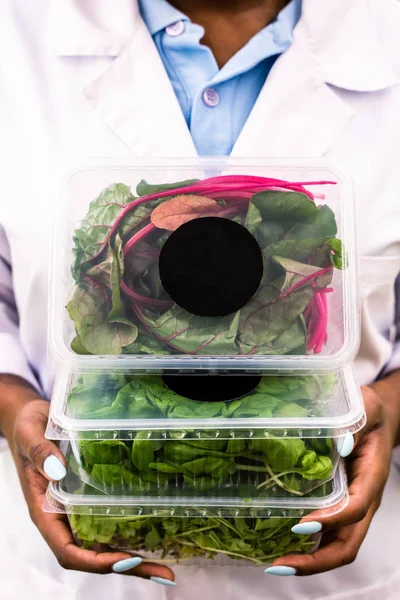 Tres Recipientes Plástico Con Hojas Remolacha Fresca Otros Alimentos Orgánicos —  Fotos de Stock