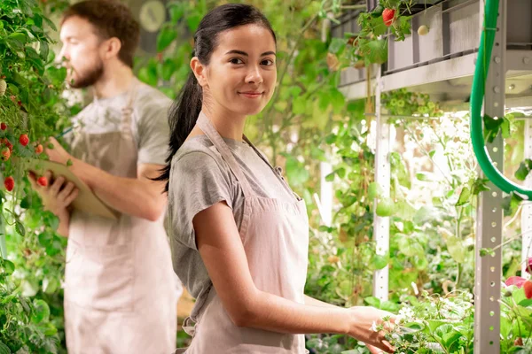 Mooie Jonge Succesvolle Tuinman Schort Kijken Naar Terwijl Het Verzorgen — Stockfoto