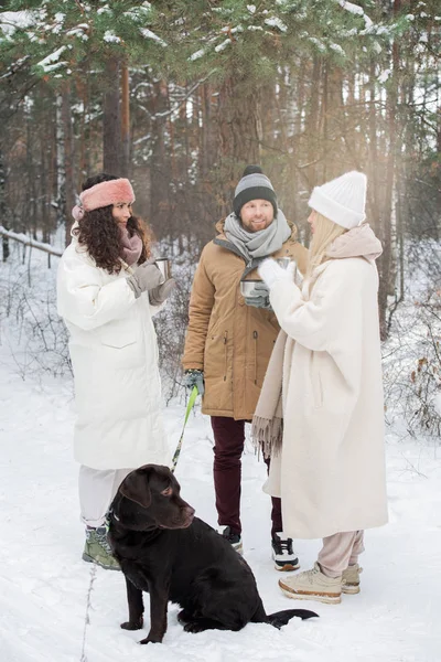 快乐的年轻人 带着纯黑的红葡萄酒 与两个女孩聊着天 在雪地森林里享用着热茶 — 图库照片