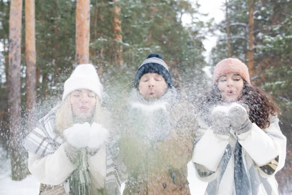 一群穿着冬衣的年轻朋友一边在白雪覆盖的森林或公园里玩乐 一边吹雪 — 图库照片