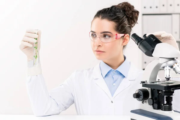 实验室用显微镜研究植物时 身穿白色 手套和眼镜的年轻女生物学家看着瓶子 — 图库照片