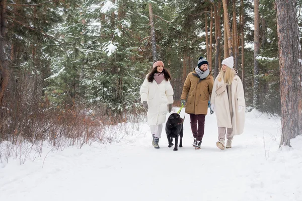 一群穿着冬衣的年轻朋友们 在雪地森林里 一边和着黑色的猎犬在路上散步 一边聊天 — 图库照片
