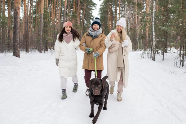 Neşeli Genç Bir Adam Kışlık Giysili Iki Kadın Kışın Çamların — Stok fotoğraf