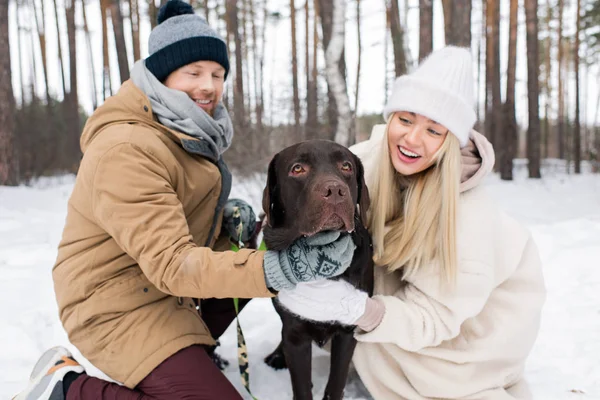 Feliz Jovem Casal Afetuoso Brincando Com Retriever Preto Sentado Neve — Fotografia de Stock