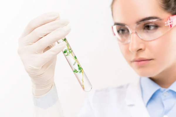 Bióloga Joven Guantes Anteojos Mirando Frasco Mientras Estudia Algas Otras — Foto de Stock