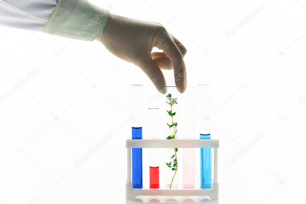 Gloved hand of contemporary biologist putting flask with new selected plant into box with tubes with liquid substances