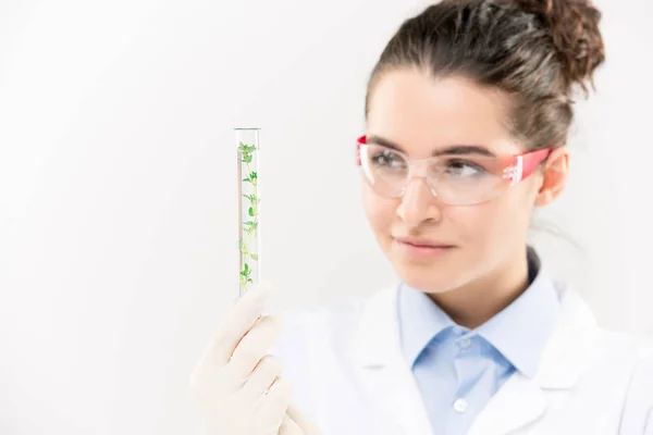 Pretty Young Biologist Eyeglasses Nad Gloves Looking Flask Long Green — Stock Photo, Image