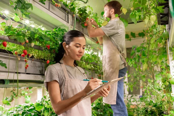 Ganska Ung Allvarlig Kvinnlig Selektionist Eller Trädgårdsmästare Pekar Dokument Med — Stockfoto