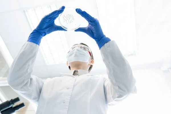 Unrecognizable Medical Scientist Wearing Lab Coat Protective Gloves Holding Cell — Zdjęcie stockowe