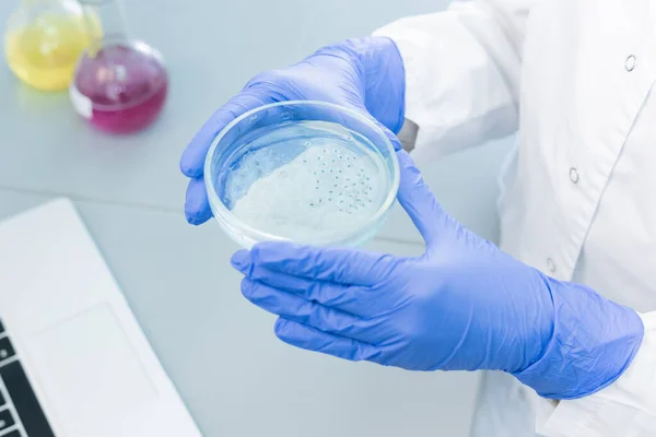 Unrecognizable Medical Scientist Wearing Protective Gloves Holding Cell Culture Dish — Stockfoto