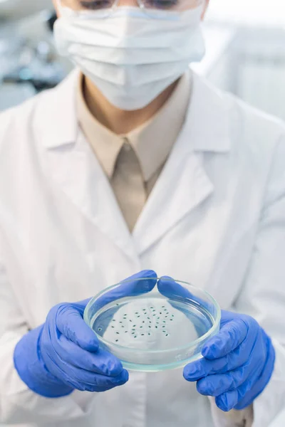 Unrecognizable Medical Scientist Wearing Protective Mask Gloves Holding Cell Culture — Stock Photo, Image