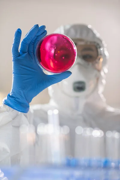 View Researcher Gloves Examining Infectious Substance Petri Dish While Working — Zdjęcie stockowe