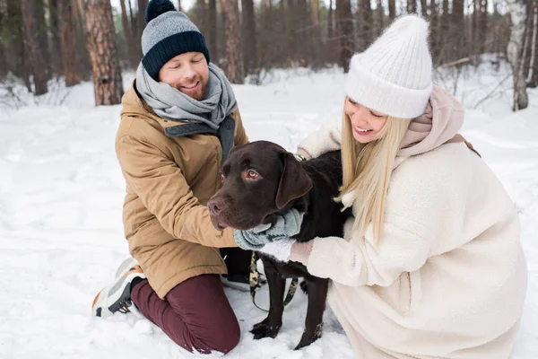 Horisontell Hög Vinkel Skott Glada Unga Par Tillbringa Tid Med — Stockfoto