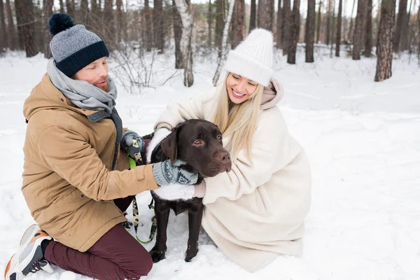 Neşeli Genç Adam Kadın Kış Günü Köpekleriyle Birlikte Dışarıda Vakit — Stok fotoğraf