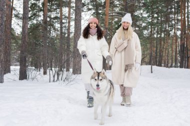 İki neşeli Kafkasyalı kadın, kış günü şehir ormanlarında sevimli laika köpeğini gezdiriyorlar.