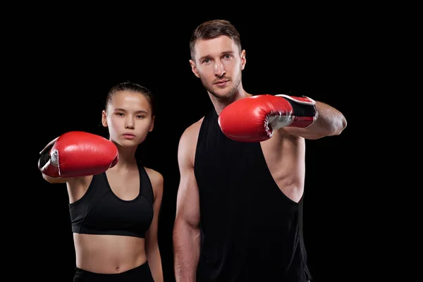 アクティブウェアと黒を背景にカメラの前でボクシングの手袋のトレーニングで若いスポーツマンとスポーツウーマン — ストック写真
