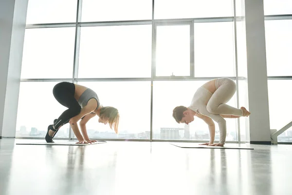 Two Young Active Women Sportswear Standing Hands While Practicing Yoga — Stock Photo, Image