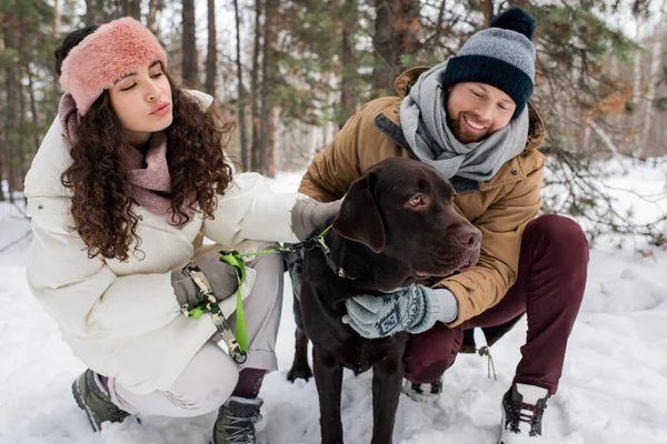 Молоді Кавказькі Чоловіки Жінки Які Сидять Полюванні Чіпляють Собаку Зимовим — стокове фото