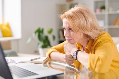 Ciddi bir yetişkin sarışın iş kadını online verileri tararken ya da iş yerinde video izlerken dizüstü bilgisayara bakıyor.