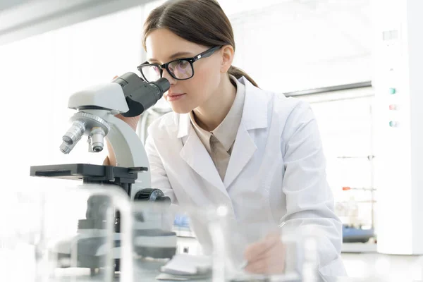 当代眼镜领域的年轻女性研究人员 在科学实验室研究围观的同时 还在显微镜下观察了一番 — 图库照片