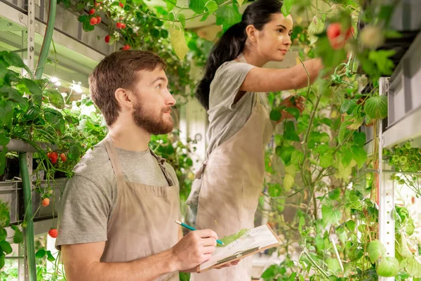 Jonge Vrouw Die Planten Onderzoekt Terwijl Haar Assistent Informatie Registreert — Stockfoto