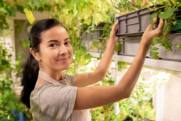 Retrato Mujer Raza Mixta Atractiva Sonriente Colocando Boquillas Caja Plástico —  Fotos de Stock