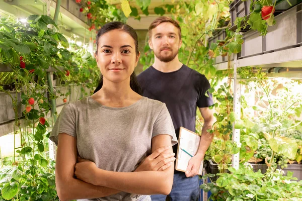 Jóvenes Empleados Invernadero Pie Pasillo Entre Plantas Cerveza Mirando Cámara —  Fotos de Stock