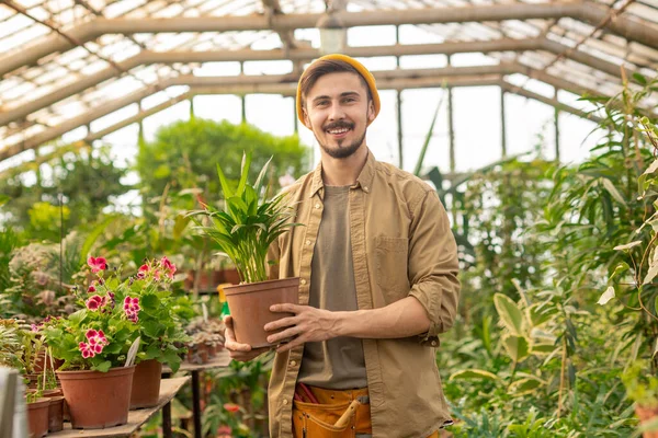 Ritratto Ragazzo Bello Felice Cappello Hipster Che Tiene Pianta Vaso — Foto Stock