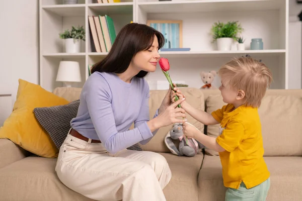 Nettes Kleinkind Steht Sofa Und Gibt Tulpe Mutter Die Blume — Stockfoto