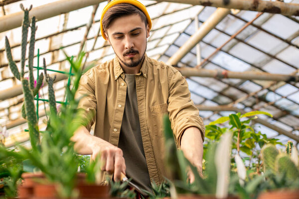 Серьезный молодой бородатый человек в кепке с помощью мелкой лопатки при удобрении растений в теплице
