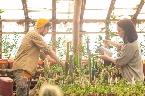 Busy Young Multi Ethnic Workers Watering Plants Fertilizing While Caring — Stock Photo, Image