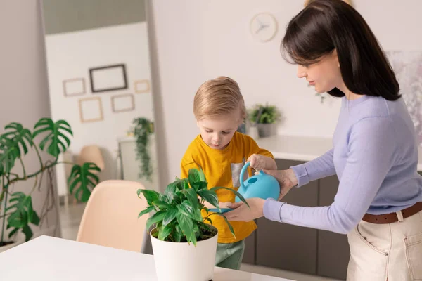 可爱的小孩帮助他的母亲 一边站在桌旁一边 一边在家里的花盆里浇灌一棵绿色的家用植物 — 图库照片