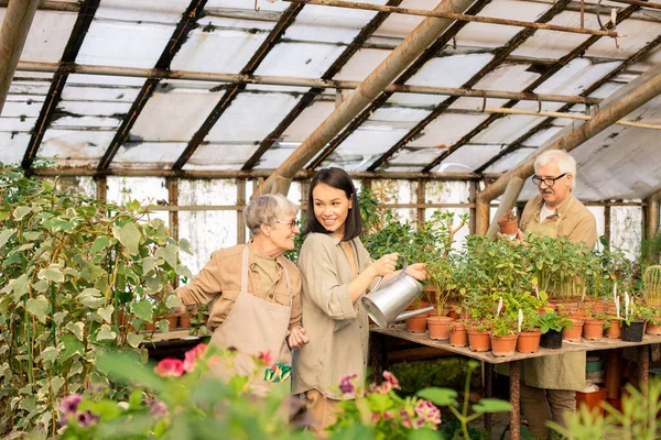 Senior Young Employees Talking Each Other While Working Plants Garden — Stock Photo, Image