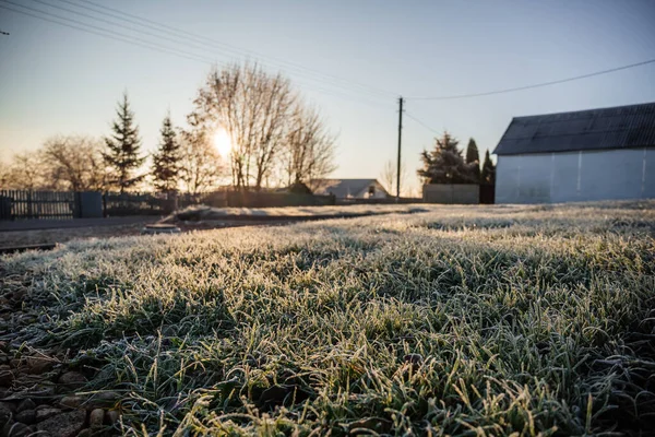 Teren z trawnikiem do budowy domu lub terytorium dla zwierząt gospodarskich wypasu w mroźny słoneczny poranek — Zdjęcie stockowe