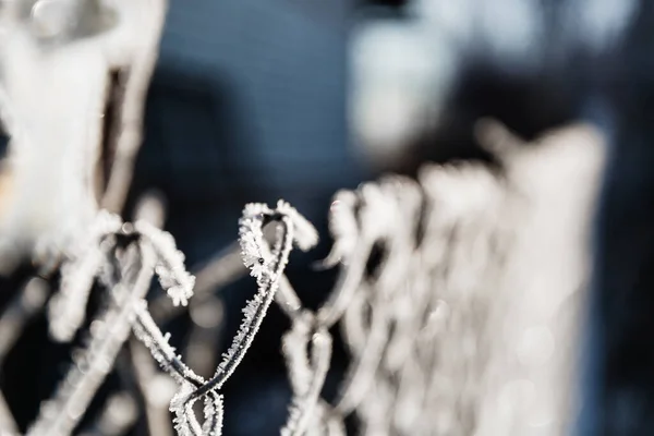 Metallic chain fence link net with blue defocused background. Frosty winter day with bright sunlight.