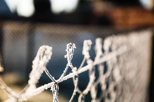 Metallic chain fence link net with blue defocused background. Frosty winter day with bright sunlight.