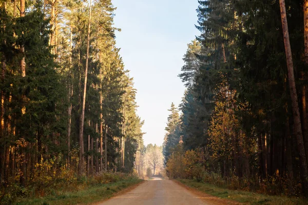 Herbstwaldstraße. Sonnenstrahlen scheinen durch die Äste der Bäume. — Stockfoto