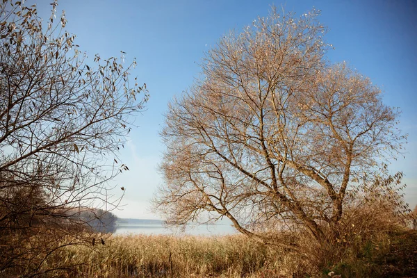 Güneşli bir göl manzarası ve bir orman adası sulara yansıyor. — Stok fotoğraf