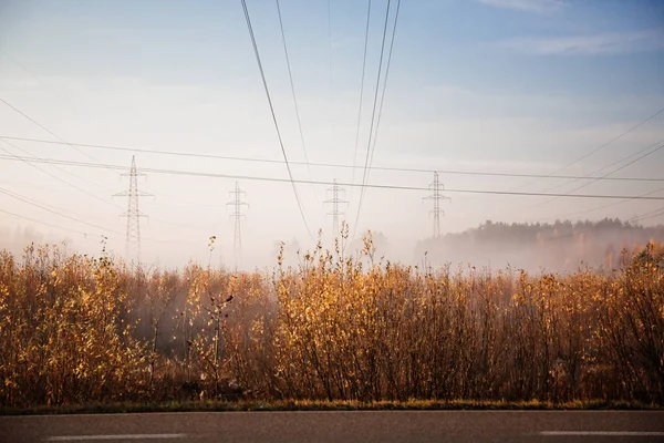 Elektryczne linie przesyłowe z elektrycznością na polu rano jesienią — Zdjęcie stockowe