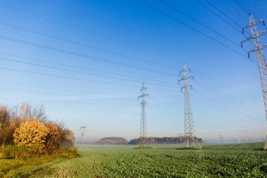 Sonbaharda sabah bir tarlada elektrikli elektrik iletim hatları