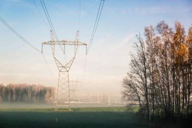 Sisli sonbahar ormanlarında sabah sabah elektriği olan elektrik iletim hatları..