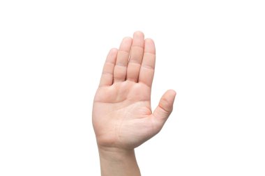 Erkek eli ileri işaret ediyor ve dur işareti veya beyaz arkaplanda izole edilmiş selamlama işareti gösteriyor