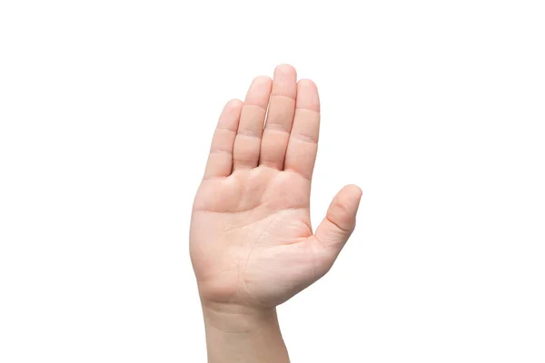 Erkek eli ileri işaret ediyor ve dur işareti veya beyaz arkaplanda izole edilmiş selamlama işareti gösteriyor — Stok fotoğraf