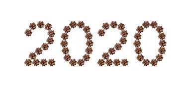 Beyaz arkaplanda izole edilmiş 2020 kozalaklı dekoratif, yeni yıl yazı tipi