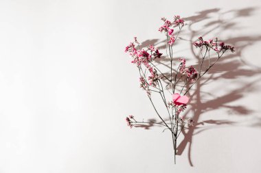 Beyaz bir arka planda çiçek dalıyla süslenmiş küçük pembe bir kalp.